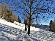 Sulle nevi del Monte Zucco (1232 m ) da S. Antonio Abbandonato (987 m) sui sent. 505-506 il 14 gennaio 2021 - FOTOGALLERY